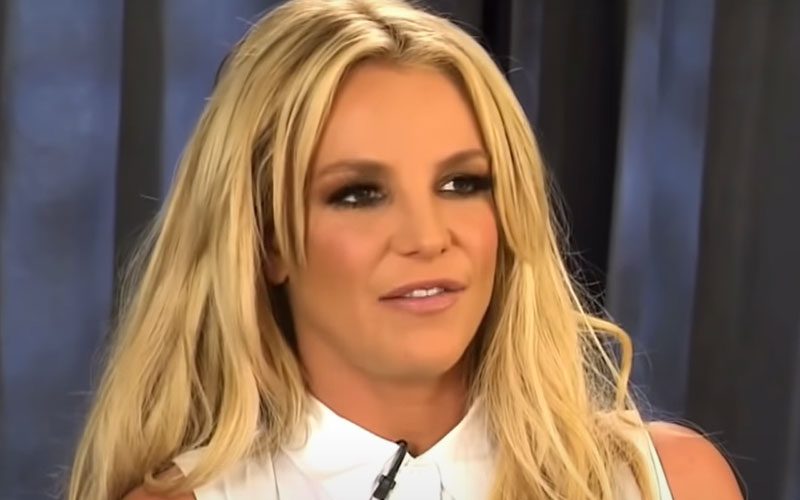Britney Spears’ Sons Don’t Want To See Her After She Blasted Them In Recent Post
