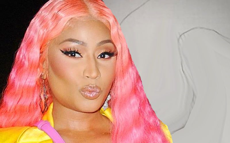 Nicki Minaj Fan Selling Hairs From Wig He Snatched During Concert