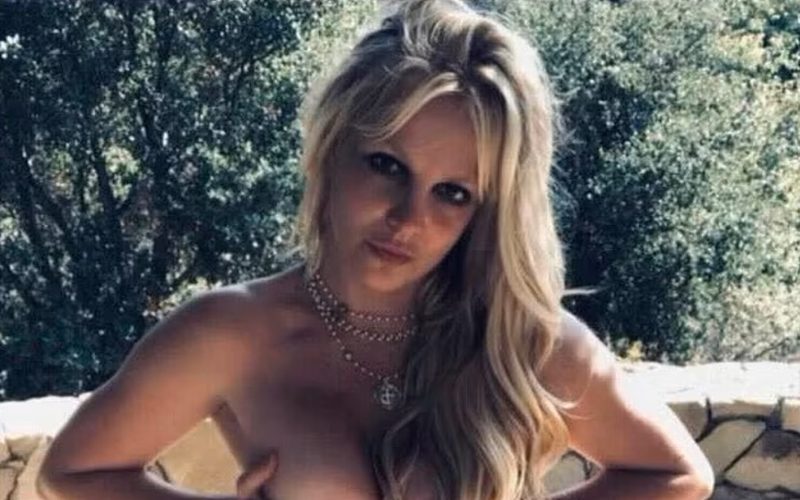 Britney Spears Marks Her Return To Instagram With Racy Photo Drop