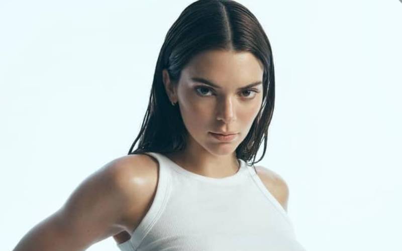 Kendall Jenner Gets Bold In Braless White T-Shirt Photo Shoot