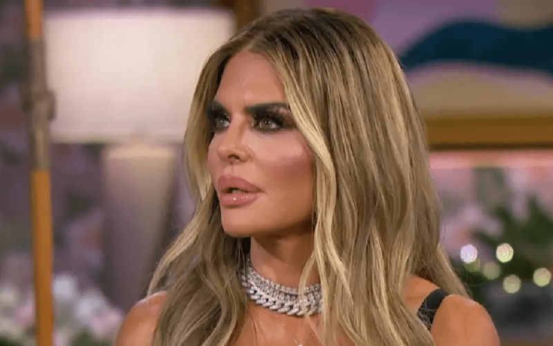 Lisa Rinna Drops Cryptic Threat For Fellow Real Housewives