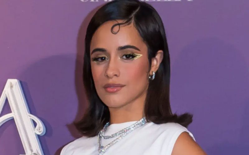Camila Cabello Stopped Using Dating Apps After Getting Concerning DM