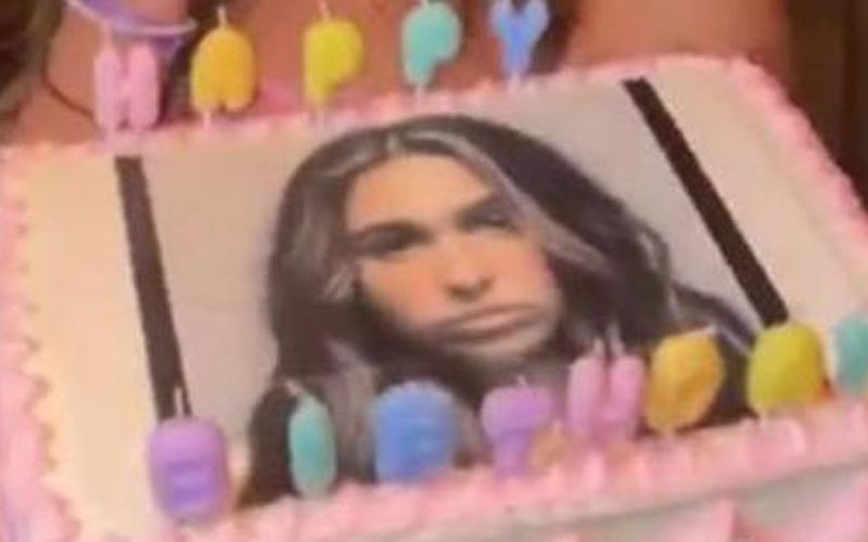 Ariana Biermann’s 21st Birthday Cake Was Decorated With Her DUI Mugshot