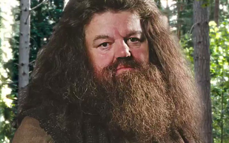 ‘Harry Potter’ Hagrid Actor Robbie Coltrane Passes Away At 72