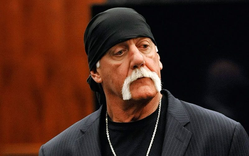 WWE Superstars Were Told Not To Worry About Hulk Hogan Replacing Them
