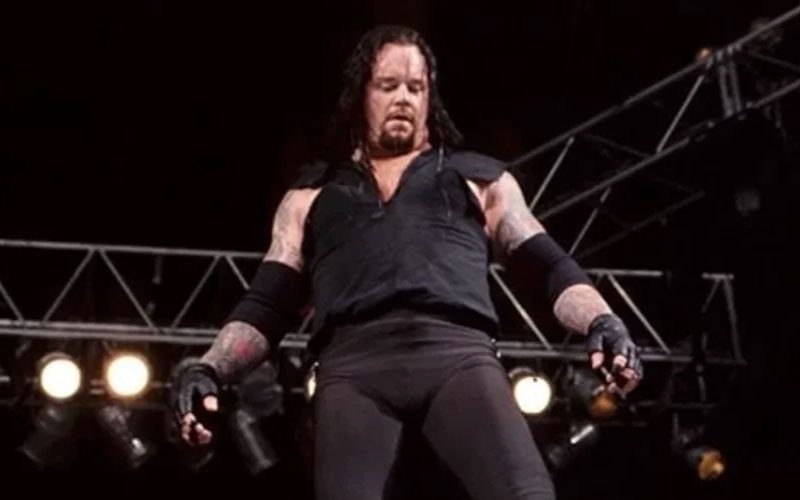 The Undertaker Went Off-Script During Iconic WWE Hell In A Cell Match