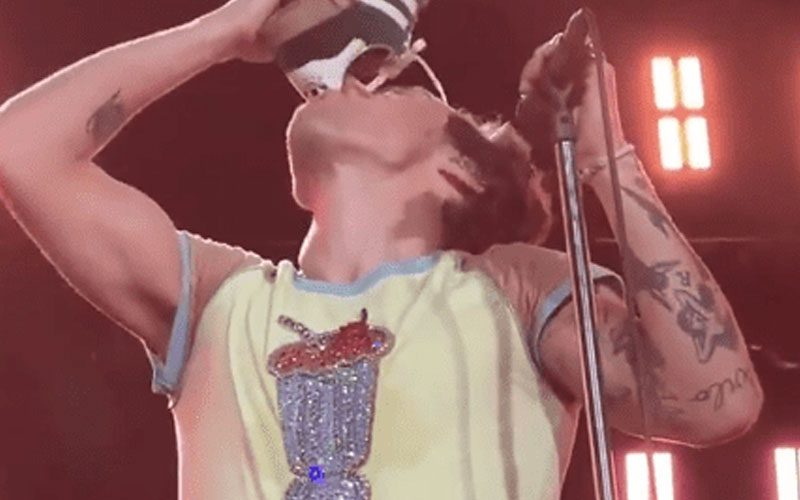 Harry Styles Drinks From A Shoe During Concert In Australia