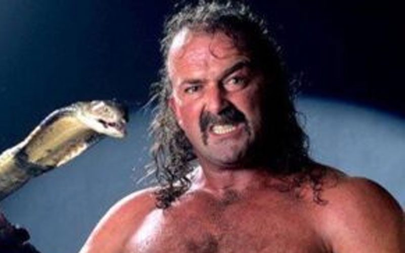 Jake ‘The Snake’ Roberts Once Tried To Rescue Injured Aligator In His Car