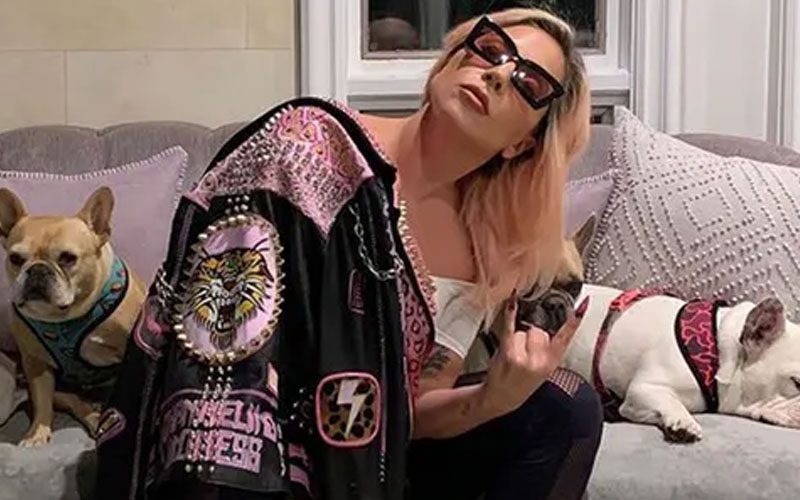 Lady Gaga Sued For $500K By Woman Charged In Dog Theft