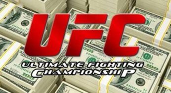 UFC Parent Company Not Interested In WWE Purchase