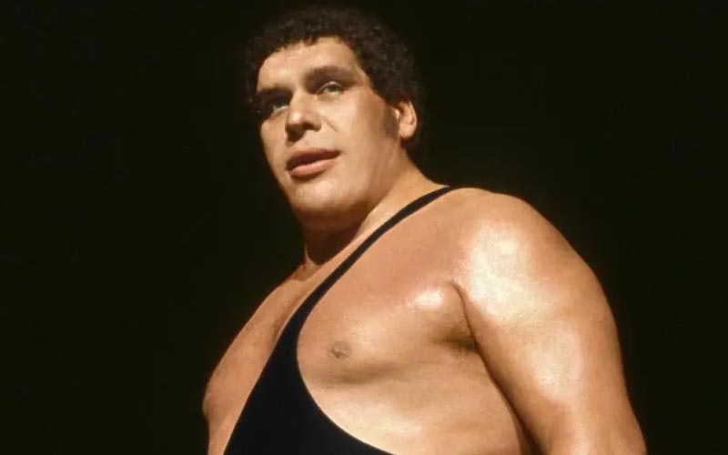Andre The Giant Once Spent The Night In Hotel Lobby After Passing Out