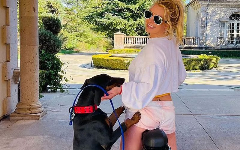 Britney Spears Warned By Animal Control After Her Dog Bit 70-Year-Old Man