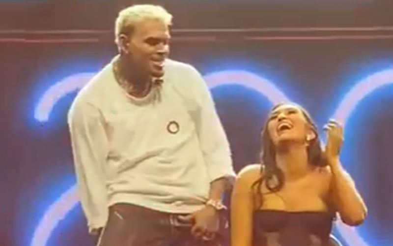 Chris Brown Gives Fan A Lap Dance While Performing During Dublin Tour