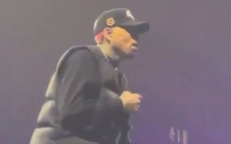 Chris Brown Stops His Performance To Check On A Passed Out Fan in Crowd
