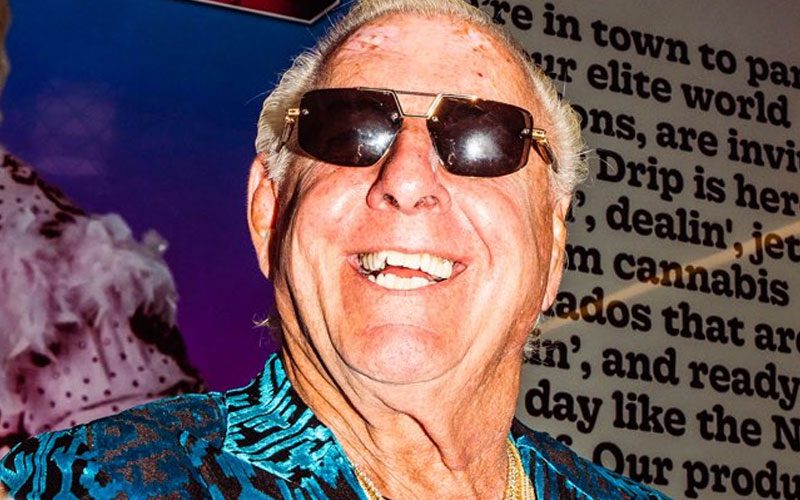 Ric Flair Will Be The Face Of Cannabis Erectile Dysfunction Remedy