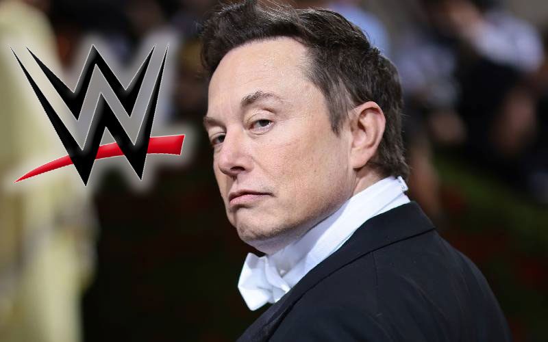 Ex-WWE Superstar Complains Directly To Elon Musk About His Twitter Account