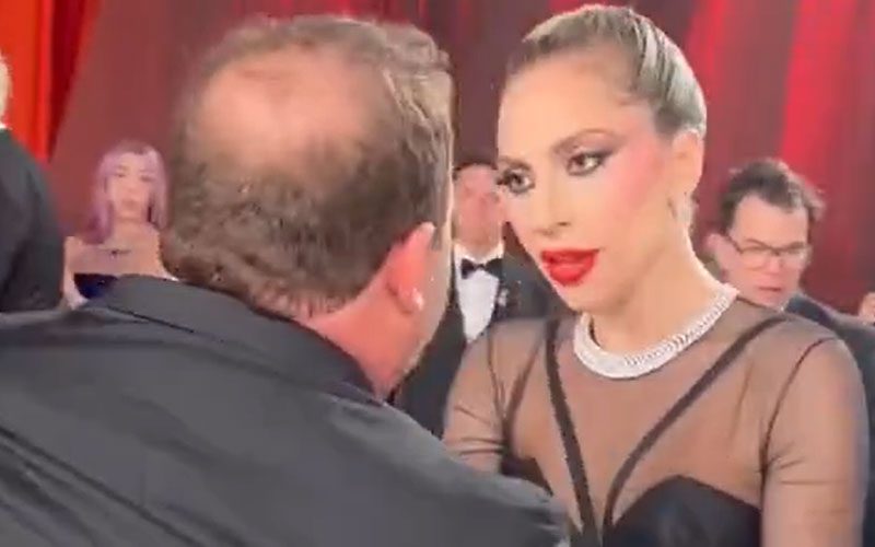 Lady Gaga Rushes To Help Tripped Cameraman At The Oscars Red Carpet