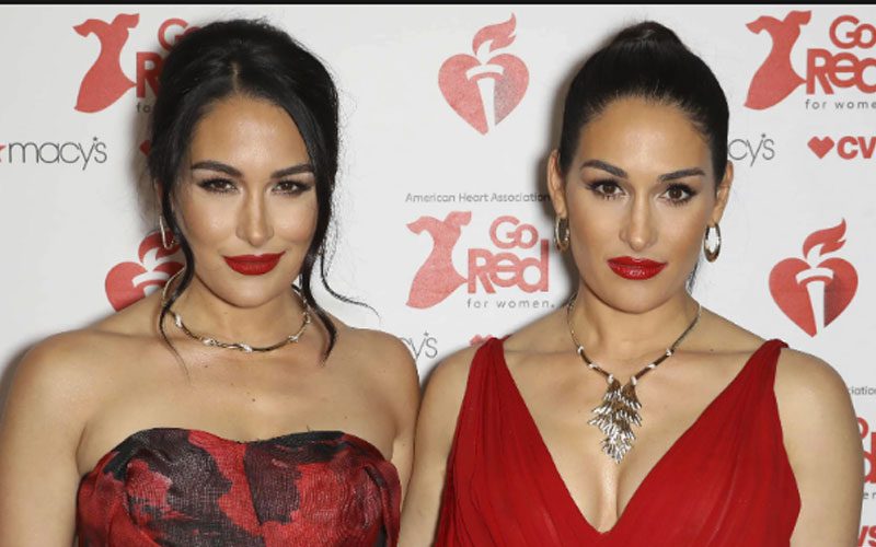 The Bella Twins Explain Why They Don’t Use Their Husbands’ Last Names