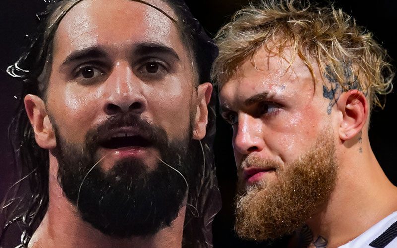 Jake Paul Says He Could Definitely Beat Up Seth Rollins