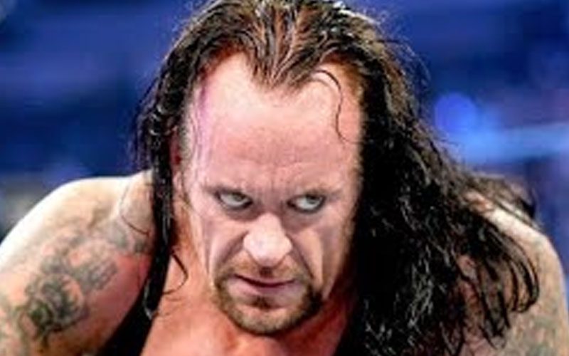Undertaker Was Skeptical About WWE Buying Their Competition
