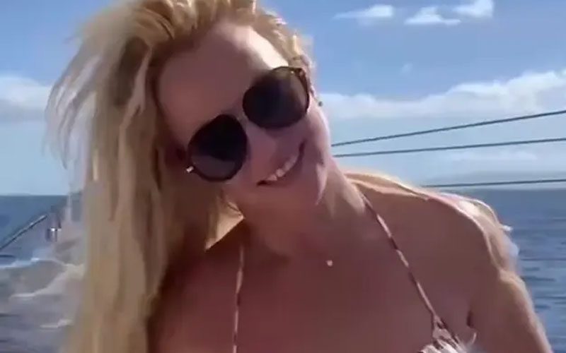 Britney Spears Fires Back at Her Bullies In Now-Deleted Bikini Video