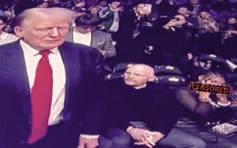 Nia Renee Hill Captured on Video Flipping Off Donald Trump at UFC 295 Event