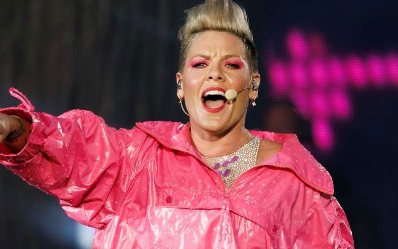 Pink Plans to Distribute Thousands of Banned Books on Racial and Sexual Identity at Florida Concerts
