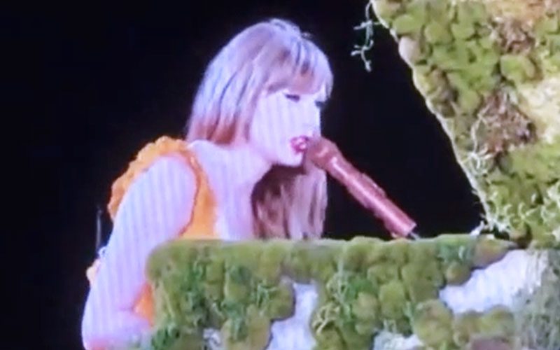 Taylor Swift Asks Argentina Audience to Avoid Object Throwing