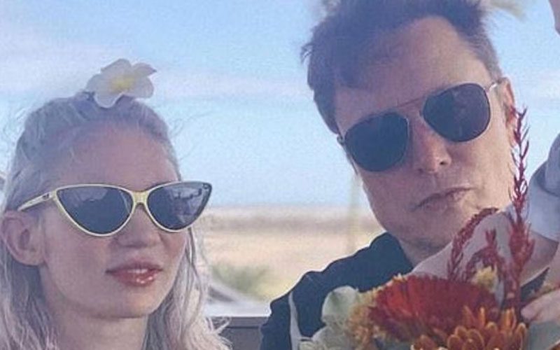 Grimes Pursued Elon Musk to 12 Different Locations to Hand Him Custody Papers