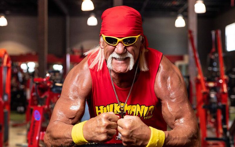 Role of Hulk Hogan Being Cast for Upcoming Biographical Film