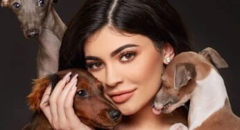 Kylie Jenner Accused of Overindulging 10 Dogs with Diamond Collars and Farm-to-Table Dinners